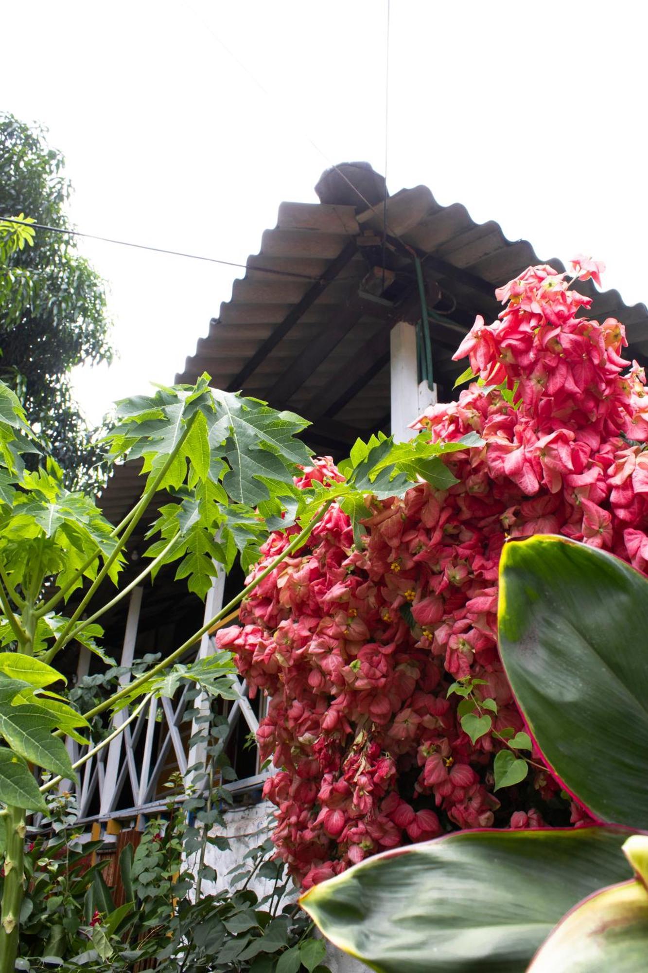 Wayanay Tayrona Eco Hostel El Zaino Exterior photo