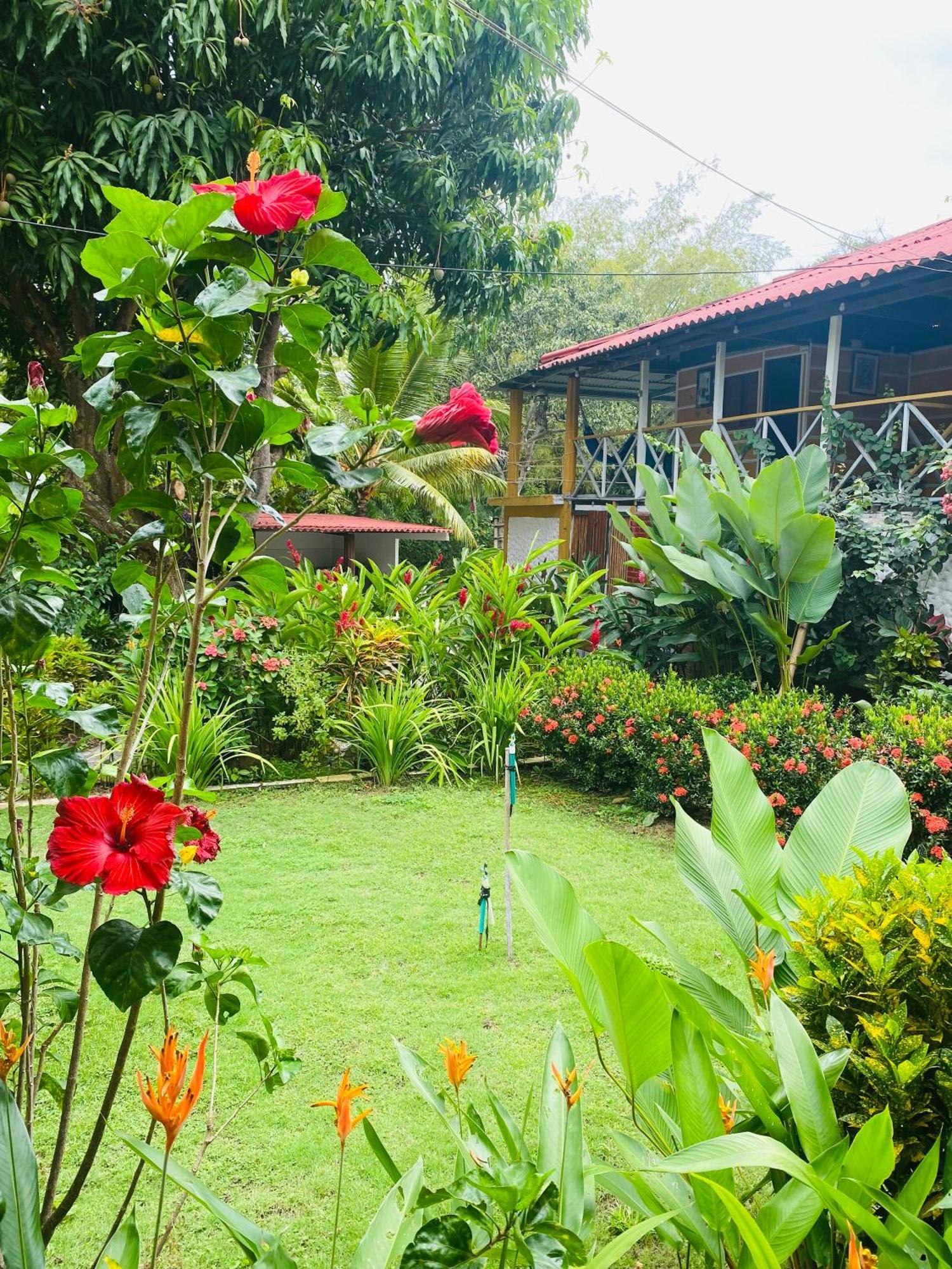 Wayanay Tayrona Eco Hostel El Zaino Exterior photo