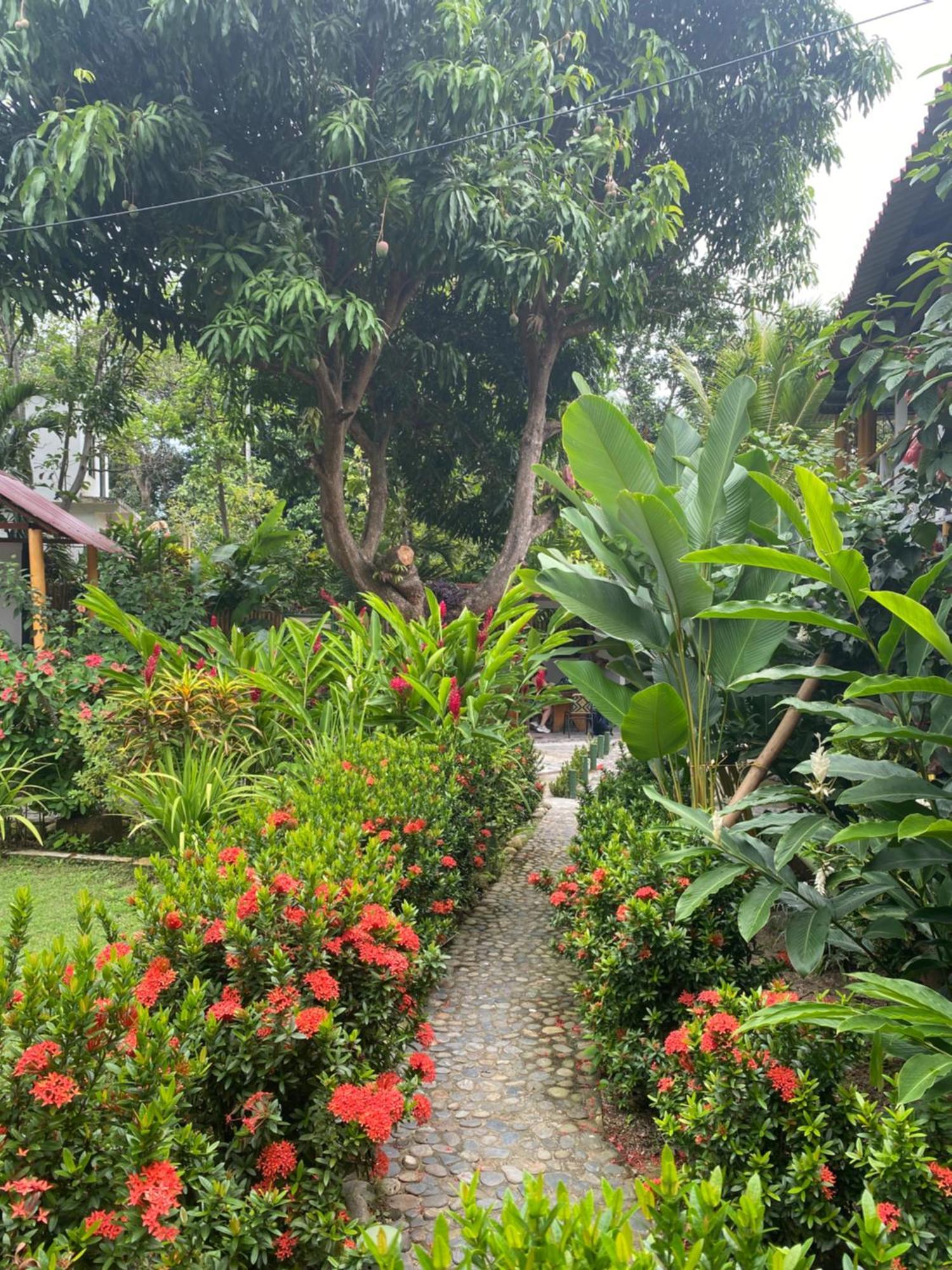 Wayanay Tayrona Eco Hostel El Zaino Exterior photo