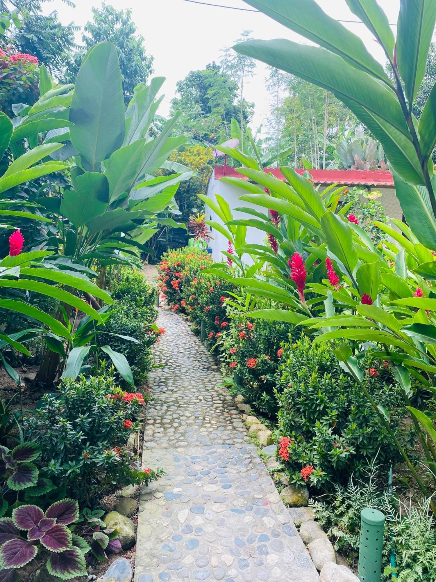 Wayanay Tayrona Eco Hostel El Zaino Exterior photo